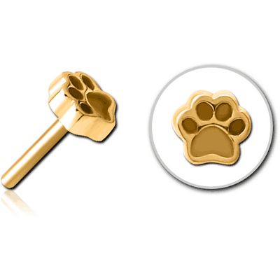 GOLD PVD COATED SURGICAL STEEL THREADLESS ATTACHMENT - ANIMAL PAW INDENT