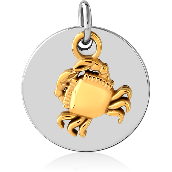 SURGICAL STEEL CHARM